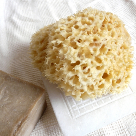 Natural sea sponge