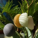 Organic* Konjac vegetable sponge