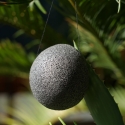 Organic* Konjac vegetable sponge