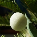 Organic* Konjac vegetable sponge